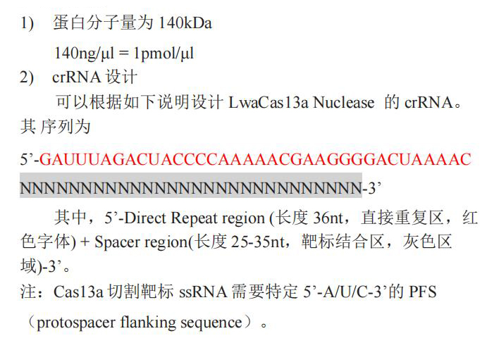 LwaCas13a Nuclease使用说明