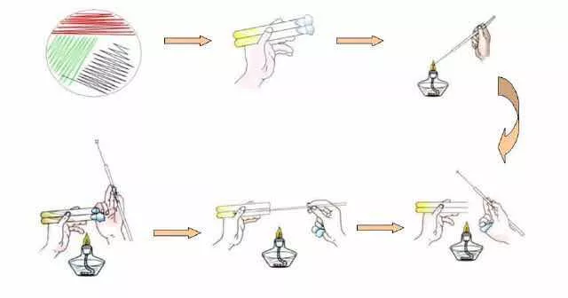 微生物涂布接种