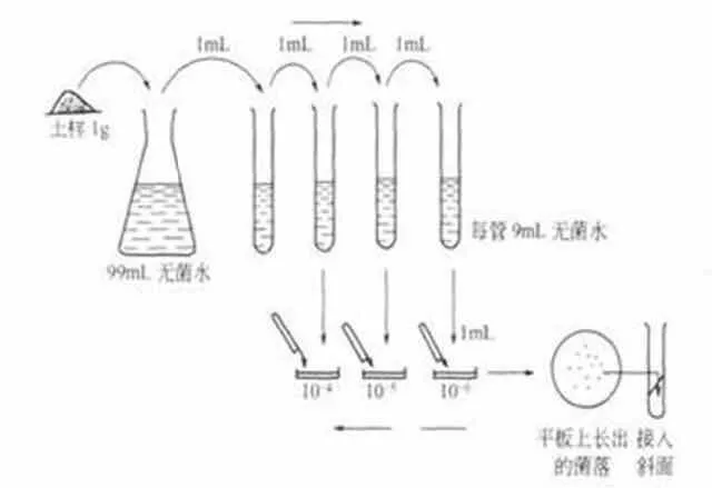 微生物液体接种