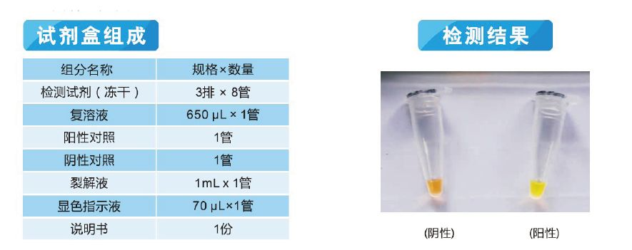 铜绿假单胞菌检测试剂盒