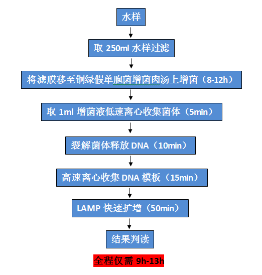 铜绿假单胞菌检测试剂盒