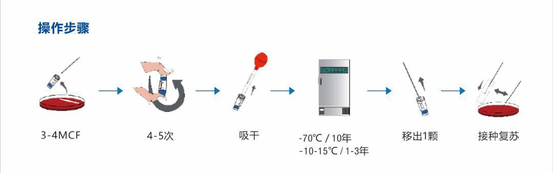 菌种保藏管