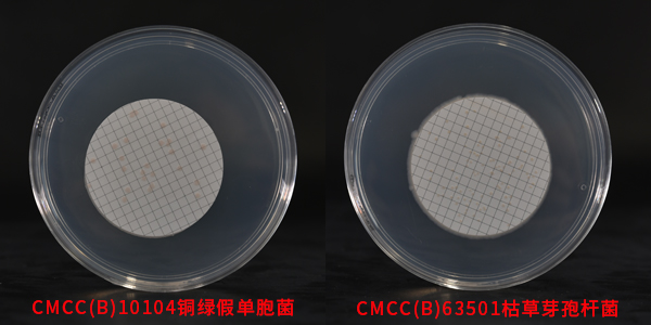 R2A琼脂培养基对应菌种生物图册