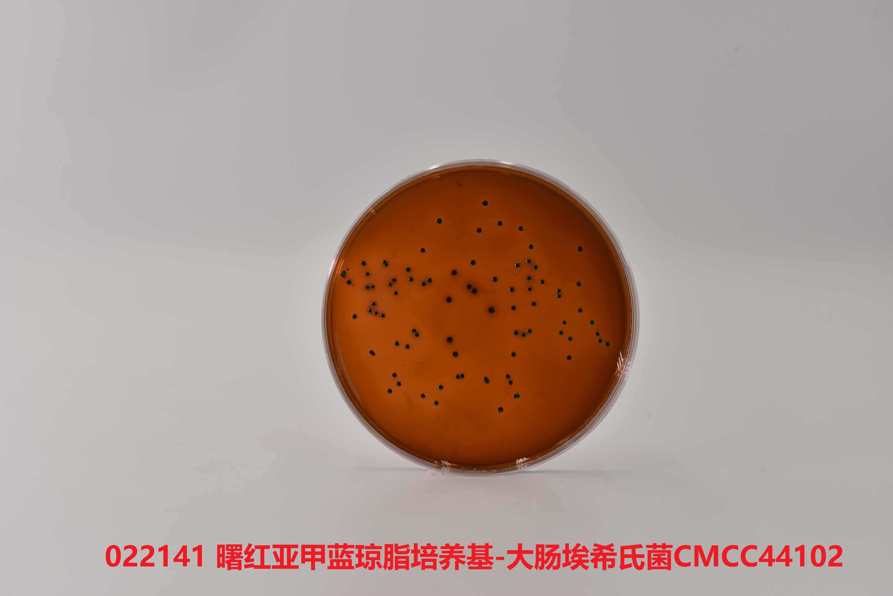 环凯曙红亚甲蓝琼脂培养基emb