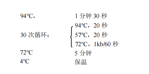 常用PCR 循环