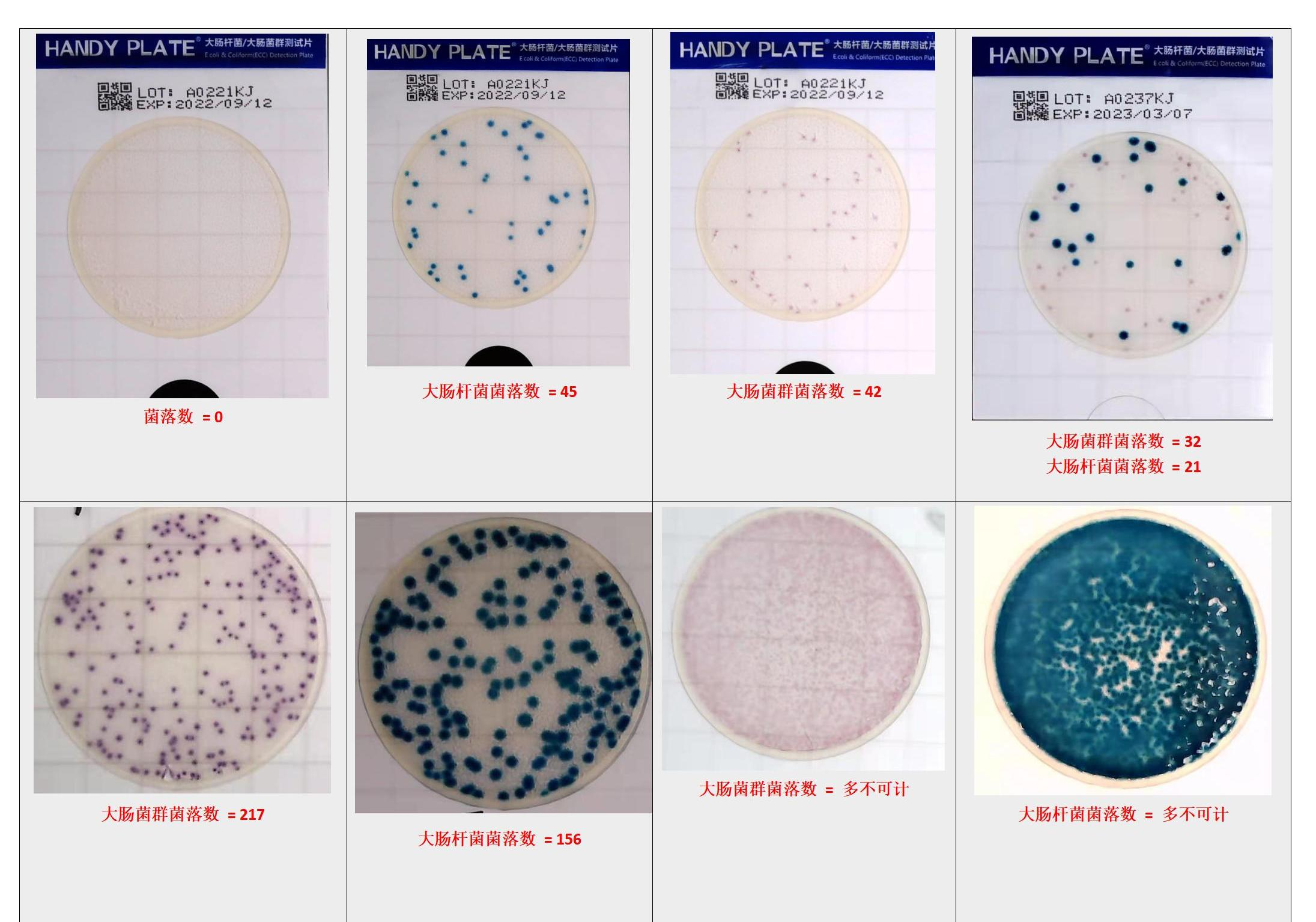 大肠杆菌&大肠菌群测试片判读手册