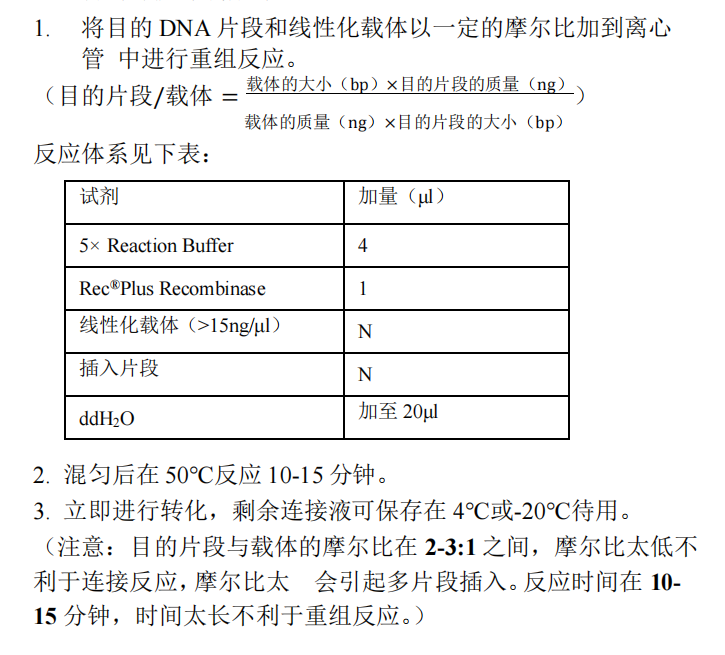 目的片段与载体的重组