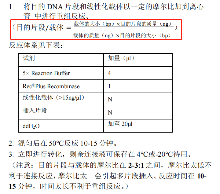 B 目的片段与载体的重组