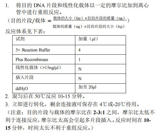 B 目的片段与载体的重组