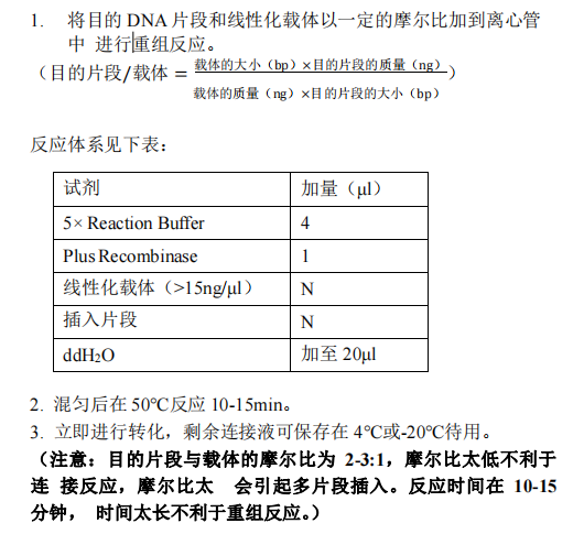 B 目的片段与载体的重组