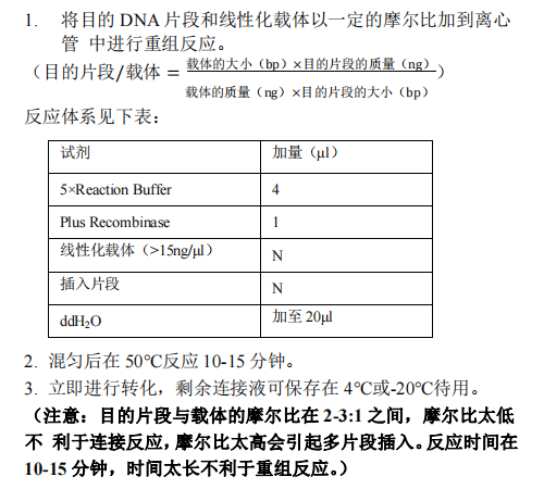 B 目的片段与载体的重组