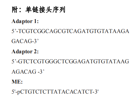 Tn5 转座酶附：单链接头序列
