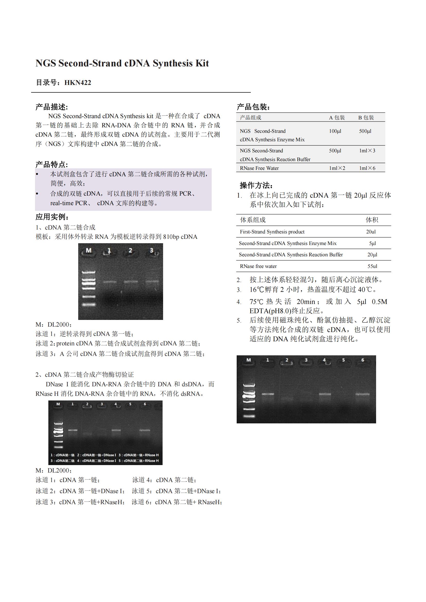 NGS Second-Strand cDNA Synthesis Kit（NGS第二链cDNA合成试剂盒）产品说明书