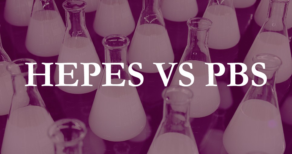 HEPES与PBS对比