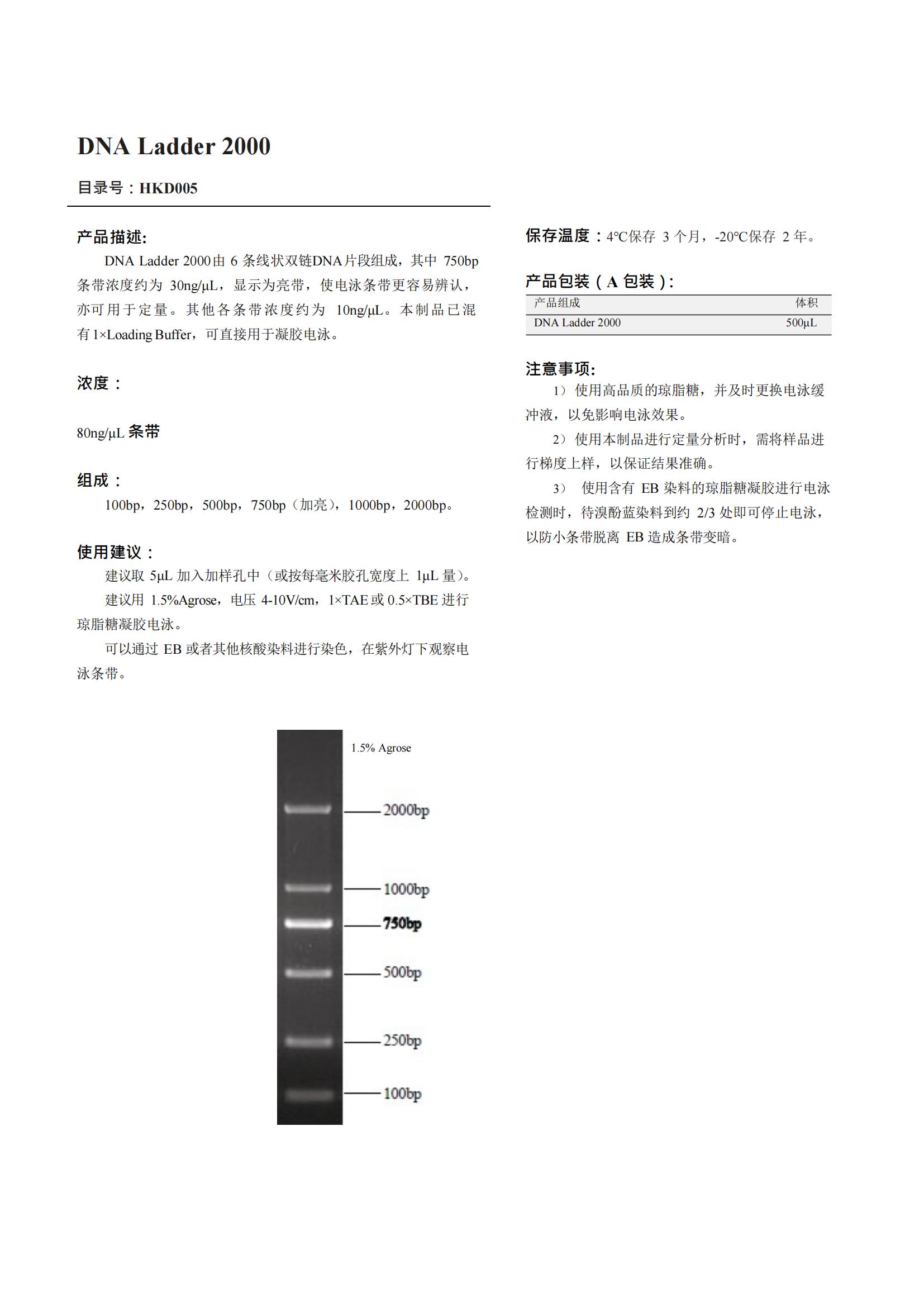 DNA Ladder 2000（DNA梯子 2000）产品说明