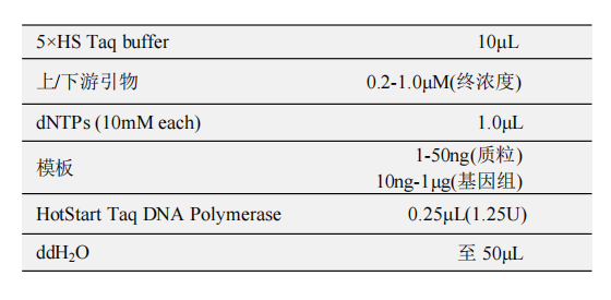 HotStart Taq DNA Polymerase(B) 常用反应体系（50μL）