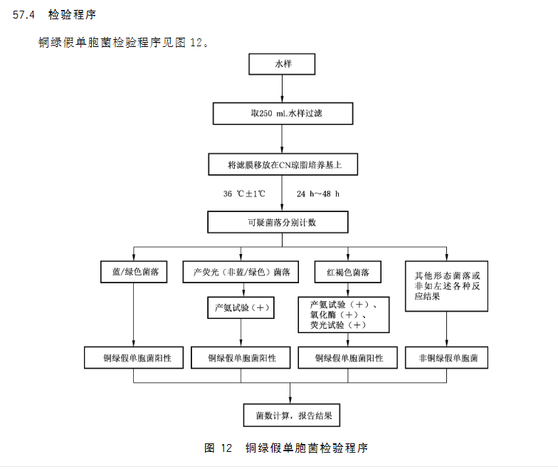 铜绿假单胞菌检验流程