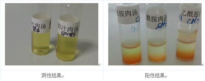 将产荧光的菌落的纯培养物接种到乙酰胺肉汤中36℃培养24h，加入钠氏试剂