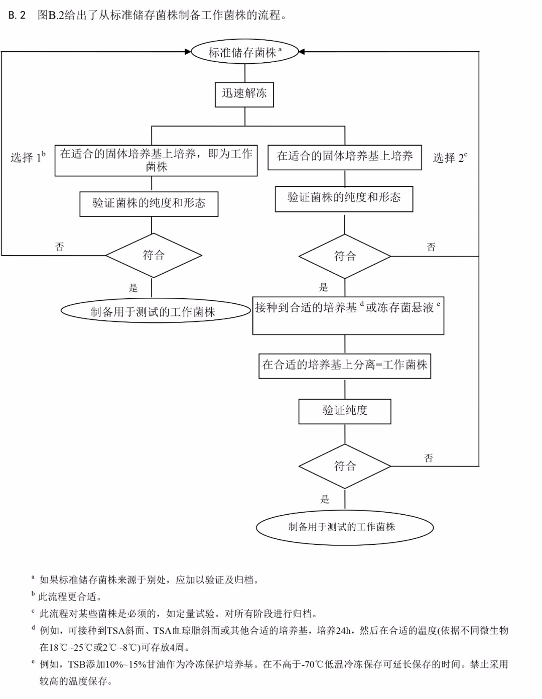 标准储存菌株制备工作菌株流程