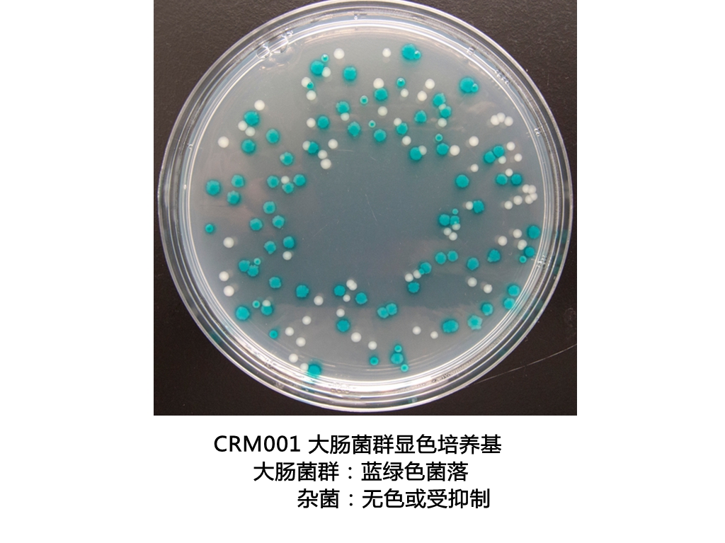 大肠菌群大肠杆菌显色培养基