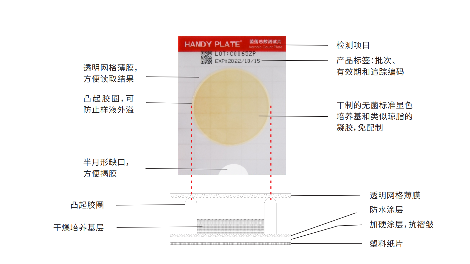 环凯微生物检测片展示图