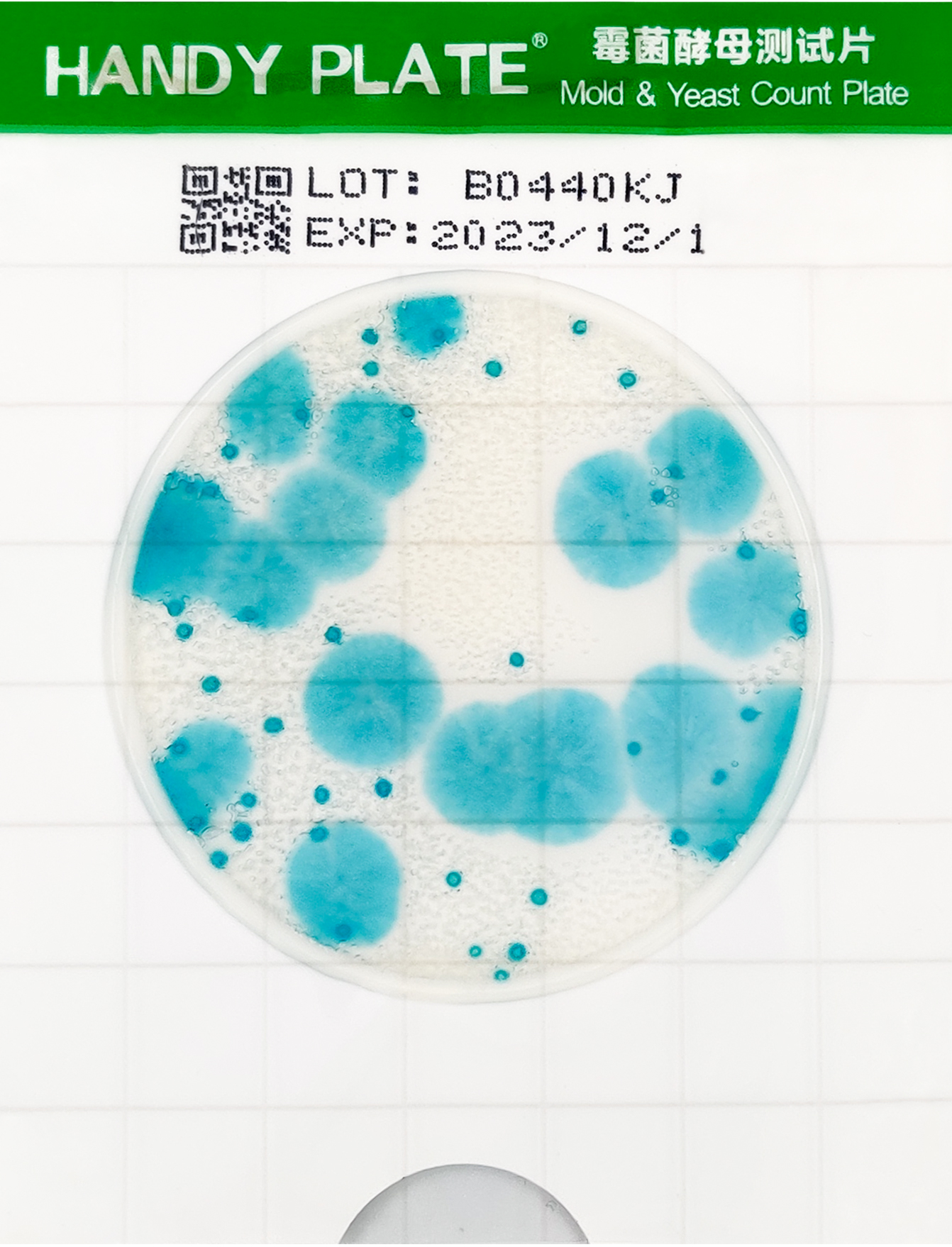 霉菌酵母測試片