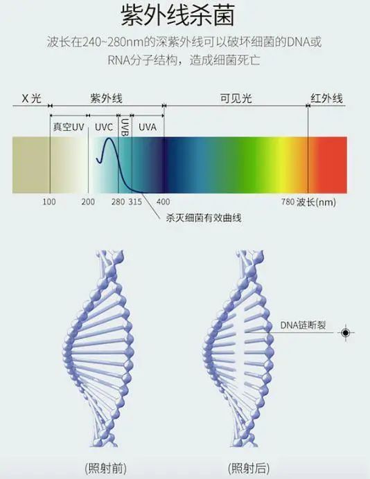 紫外线杀菌