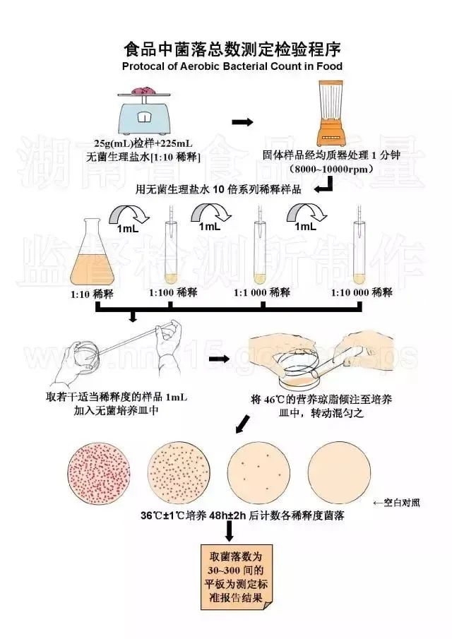 菌落总数检验程序