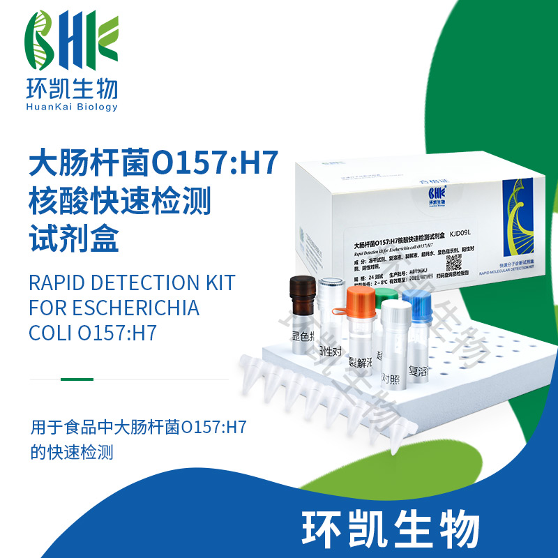 KJD09L 大肠杆菌O157:H7核酸快速检测试剂盒(恒温荧光法) 24test