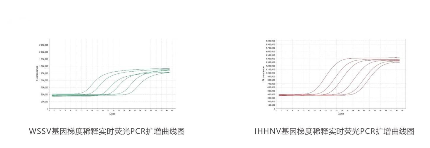 实时荧光PCR检测试剂盒结果判读