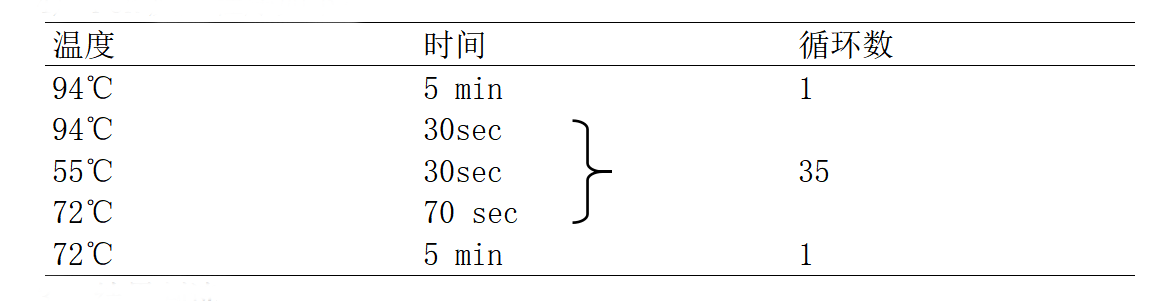 肉毒梭菌A/B型毒素基因PCR检测试剂盒PCR反应程序