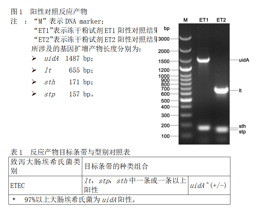 ETEC多重PCR检测试剂盒结果判读