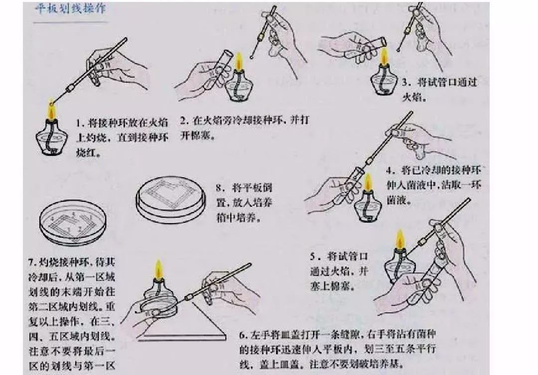 平板划线操作