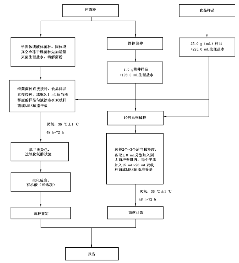 双歧杆菌检测程序