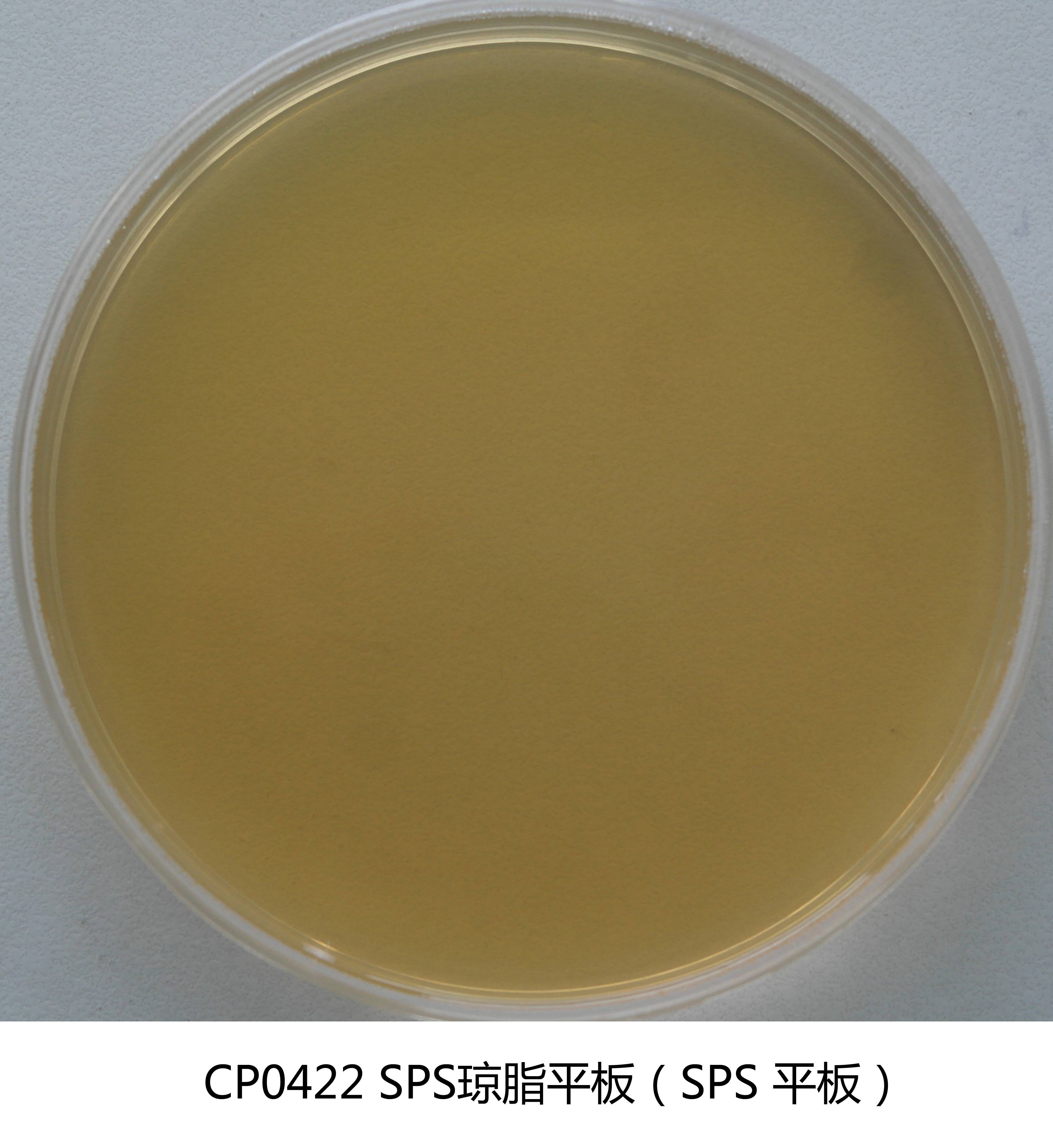 SPS琼脂平板培养基(亚硫酸盐-多粘菌素-磺胺嘧啶琼脂) 90mm×20个