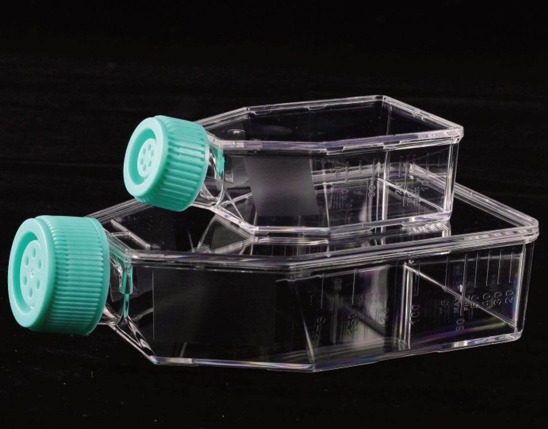 细胞培养瓶（25mm²密封盖低吸附）