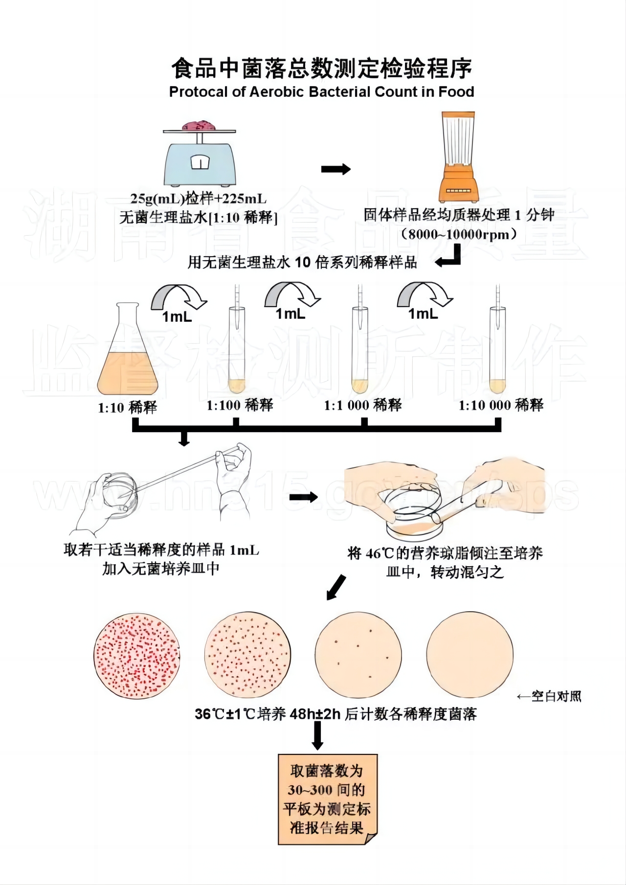 菌落总数检测程序