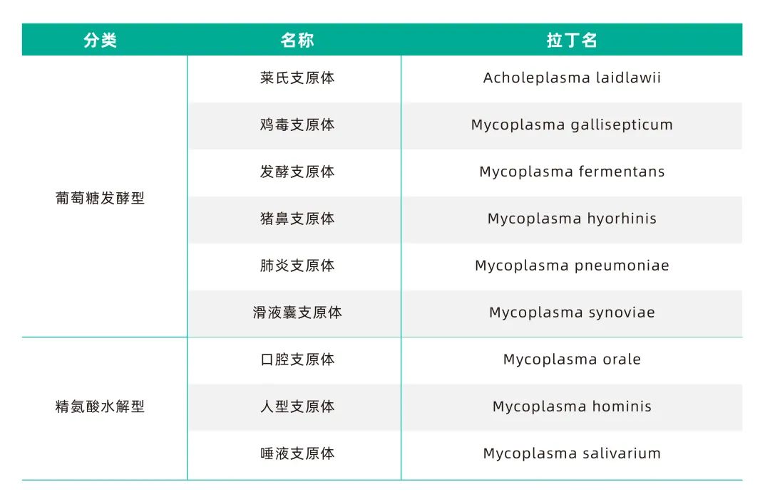 支原体培养基分类
