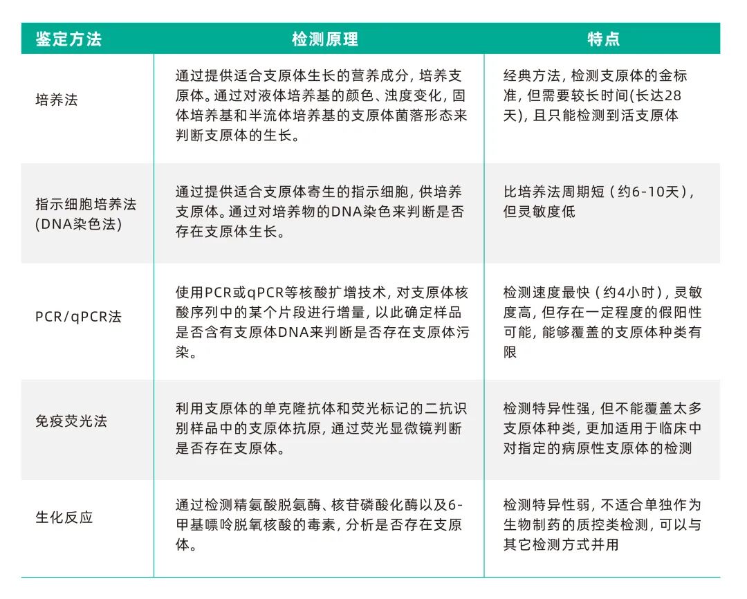 常见的支原体检测方法