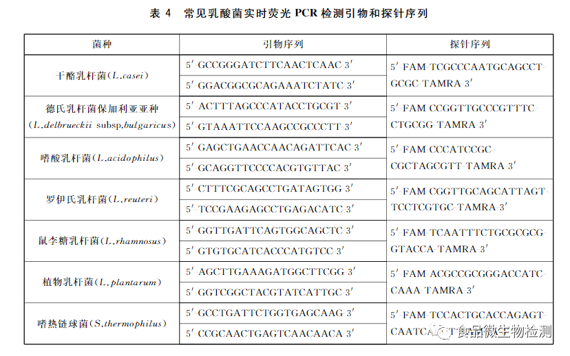 常见乳酸菌实时荧光PCR检测引物和探针序列