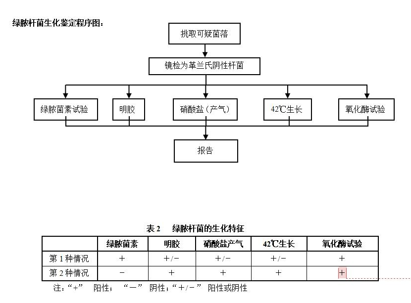 绿脓杆菌生化鉴定程序