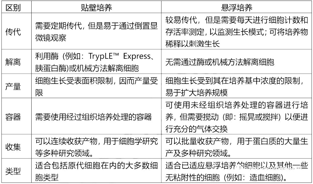 贴壁培养和悬浮培养区别