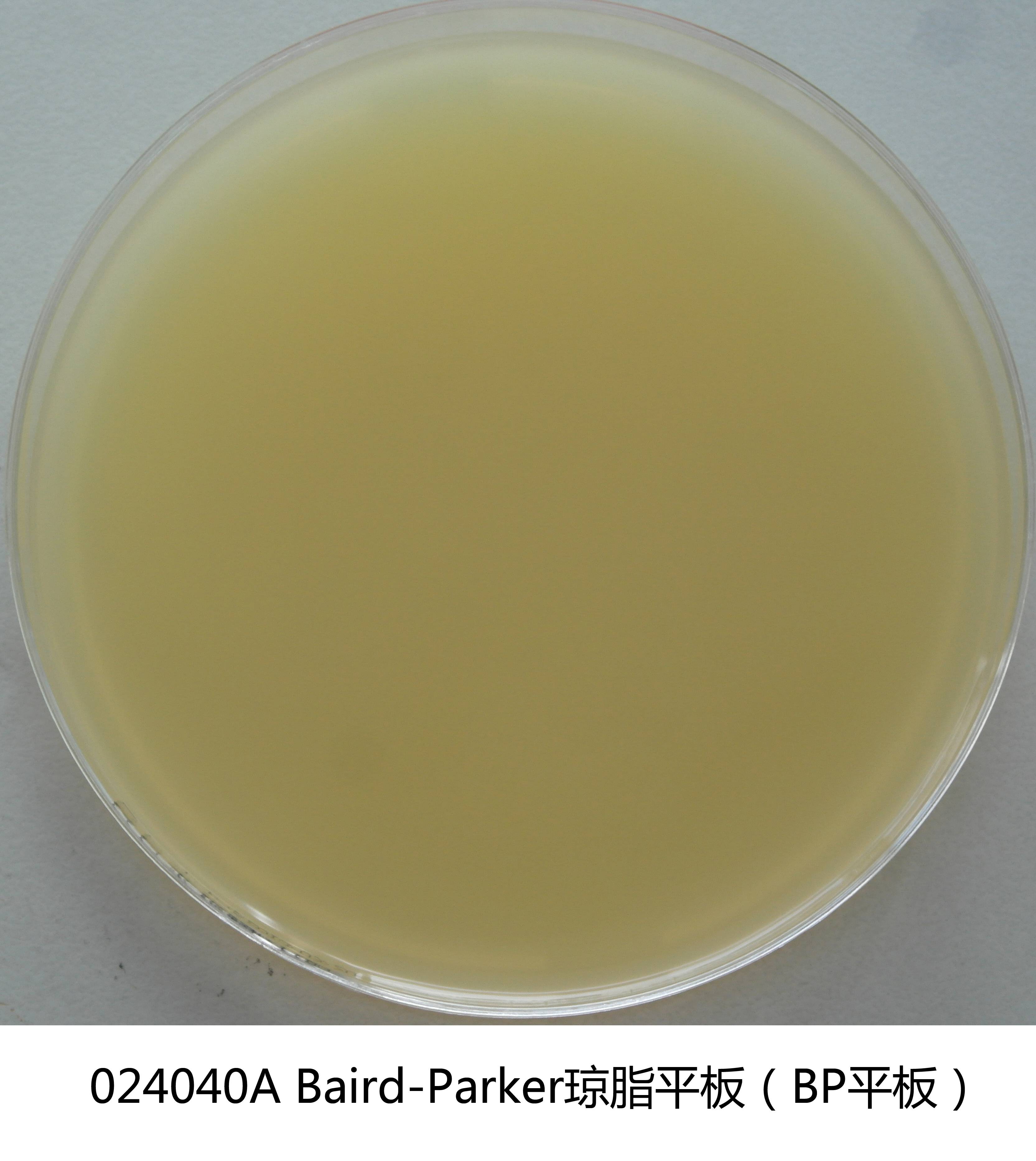 Baird-Parker琼脂平板