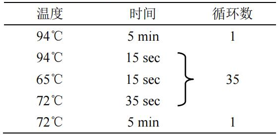 PCR 反应程序