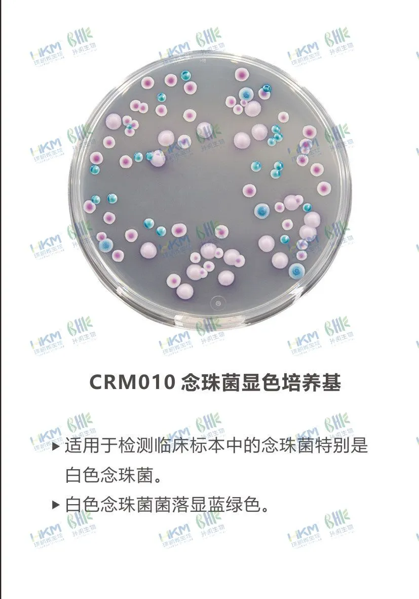 CRM010 念珠菌显色培养基