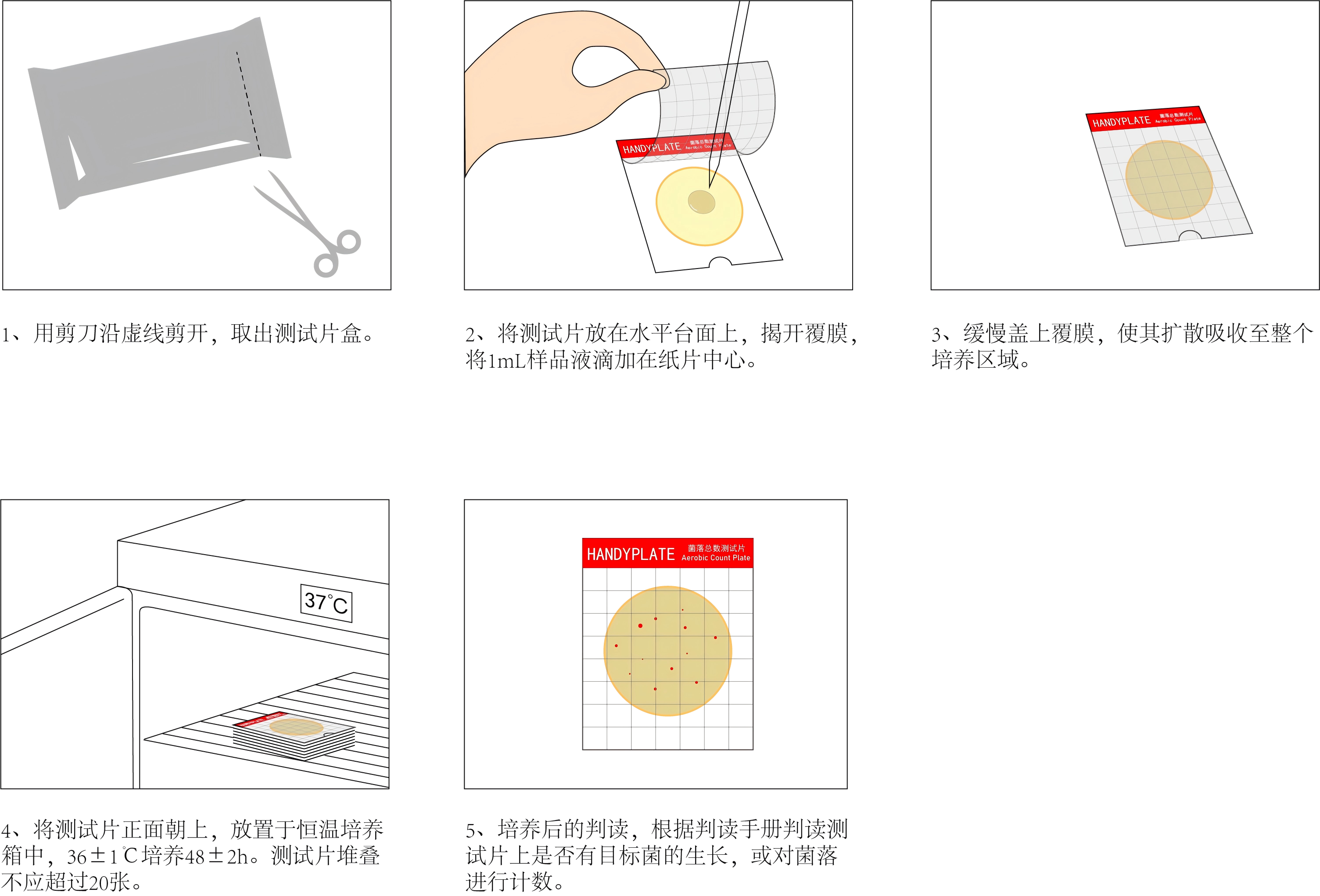 HandyPlate®菌落总数测试片(微生物快速检测纸片)操作图解