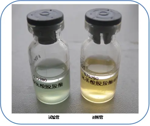 赖氨酸脱羧酶试验阳性