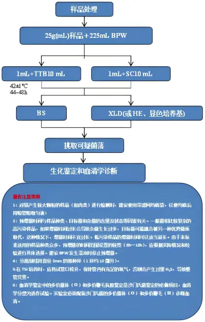 沙门氏菌检验流程及注意事项