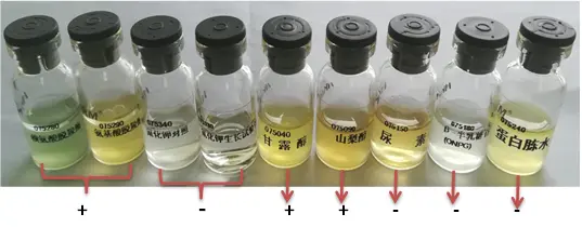 071740 沙门氏菌生化鉴定盒（接种鼠伤寒沙门氏菌的结果）