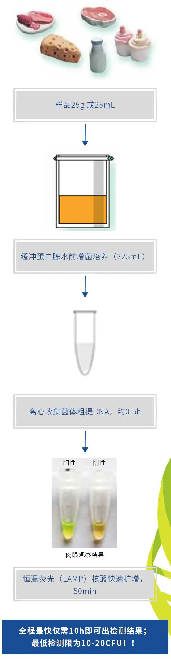 沙门氏菌恒温荧光核酸快速检测